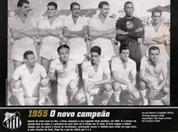����������� ���������� ���� ������ ������� 1955 ����